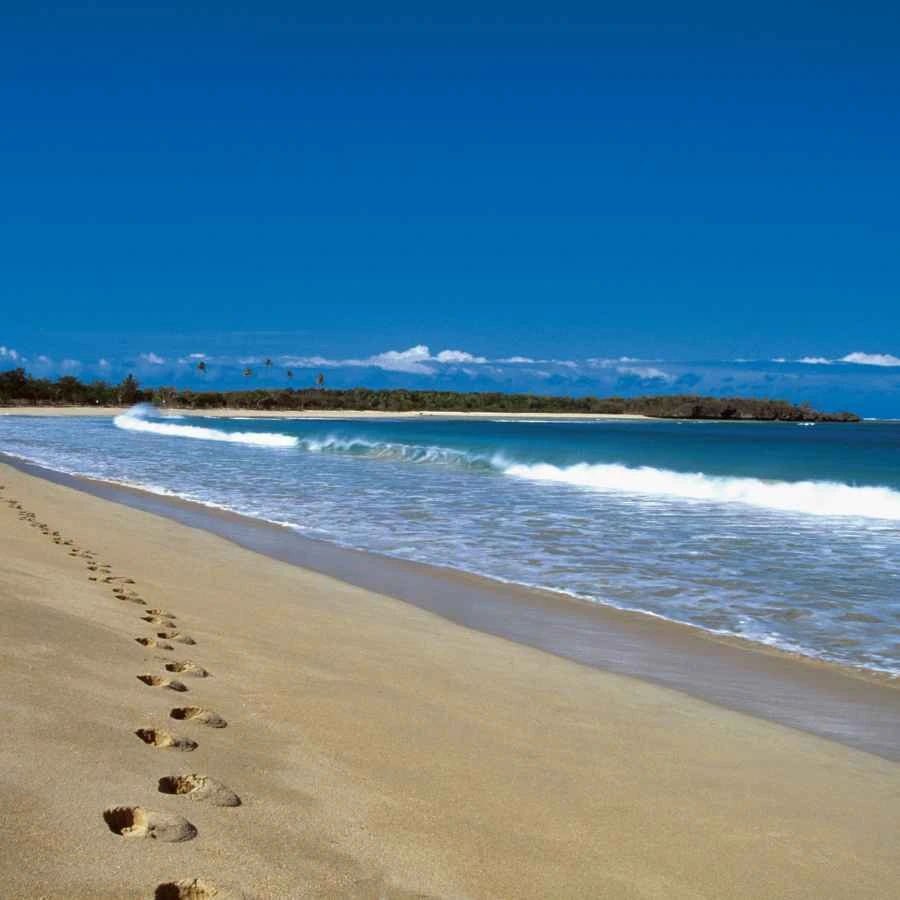offerta Fiji Spiaggia delle Fiji
