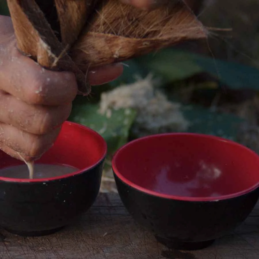 offerta Fiji Kava, bevanda tipica delle Fiji