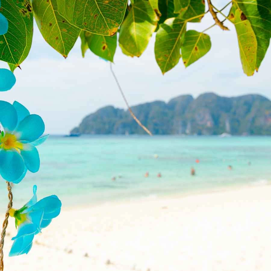 offerta Fiji Spiaggia delle Fiji